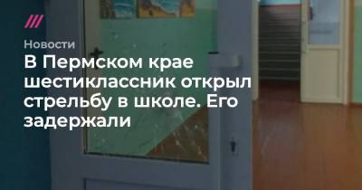 В Пермском крае шестиклассник открыл стрельбу в школе. Его задержали