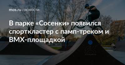 В парке «Сосенки» появился спорткластер с памп-треком и BMX-площадкой