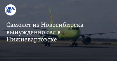 Самолет из Новосибирска вынужденно сел в Нижневартовске