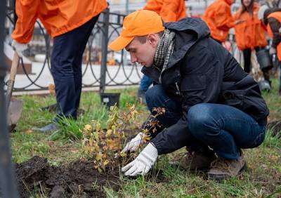 В Рязани на площади Ленина высадили гортензии