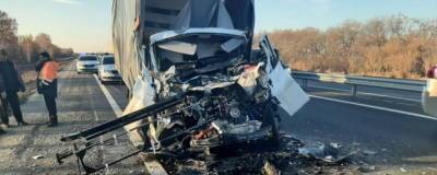Под Омском в ДТП с самосвалом погиб водитель автомобиля «Газель»