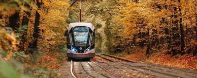 На востоке Москвы планируют запустить новый маршрут трамвая