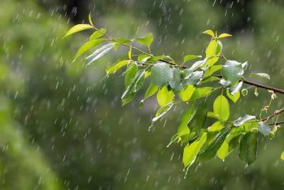 В понедельник на Кубани пройдут дожди с грозами