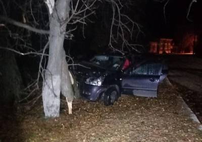 Водитель въехавшей в дерево легковушки в Пронске был пьян