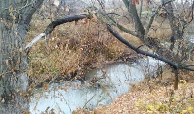 Под Уфой в реке Шугуровка обнаружена неизвестная белая жидкость