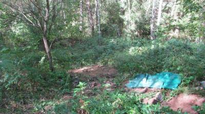 В Бешенковичском районе найдены останки шестерых человек, предположительно времен ВОВ