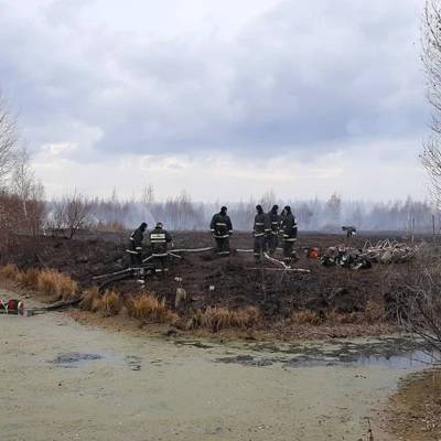 Число очагов пожаров с торфяниками в Екатеринбурге уменьшилось до 12