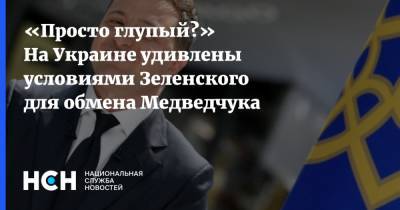 «Просто глупый?» На Украине удивлены условиями Зеленского для обмена Медведчука
