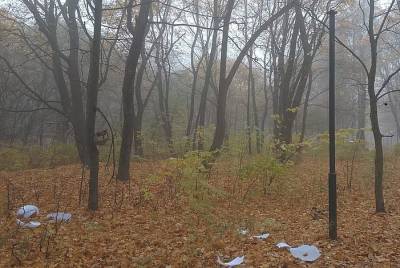 В Орле вандалы разгромили парк Ботаника - 7info.ru