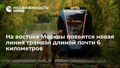 Заммэра Москвы Ликсутов: на востоке столицы появится новая линия трамвая длиной почти 6 километров