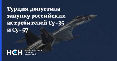 Исмаил Демир - Турция допустила закупку российских истребителей Су-35 и Су-57 - nsn.fm - Россия - США - Турция