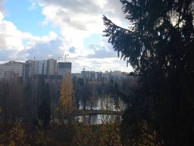 Петербуржцы требуют спасти Шуваловский парк от амбиций бизнеса