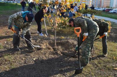 В Ростовской области прошел масштабный день древонасаждения