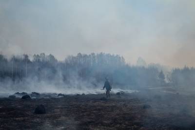 Власти объяснили смог в Тюмени горящими торфяниками в Свердловской области