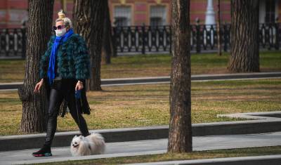 Большинство владельцев собак считают Москву неудобной для содержания питомцев