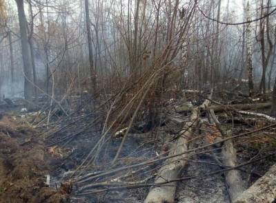 Два пожара ликвидировали в Мелекесском лесничестве
