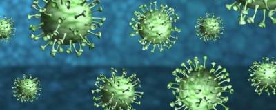 Пульмонолог Йонкер: Бессимптомно болеющие дети могут заражать коронавирусом