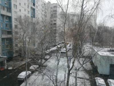 Первый снег может выпасть в Москве в ночь на вторник