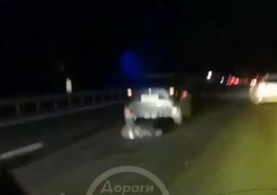 Опубликовано видео с места смертельного наезда на женщину на трассе под Рязанью