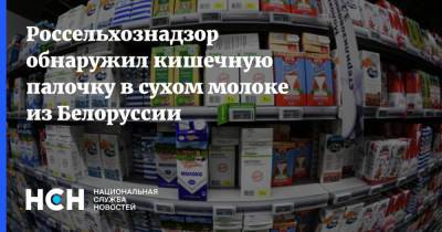 Россельхознадзор обнаружил кишечную палочку в сухом молоке из Белоруссии