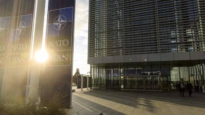 Политолог назвал нереальной перспективу вступления Грузии в НАТО