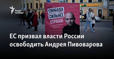 ЕС призвал власти России освободить Андрея Пивоварова