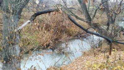 В Уфе на реке выявили загрязнение неизвестного происхождения