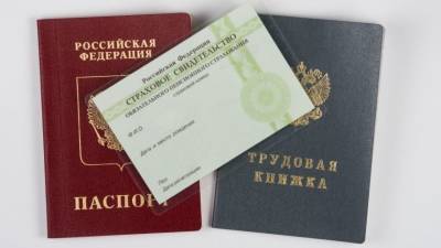 В трех регионах России до конца 2022 года введут электронные паспорта