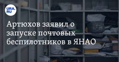 Артюхов заявил о запуске почтовых беспилотников в ЯНАО