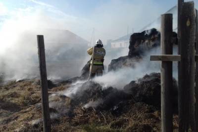 В Астраханской области сгорели автомобиль, 4 гаража и сено