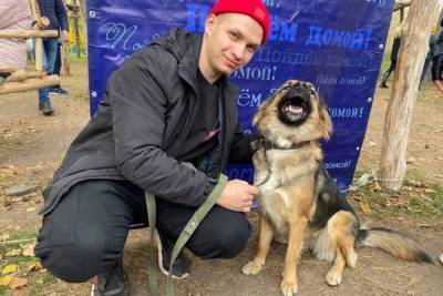 На выставке Пойдем домой в Белгороде новый дом нашли 9 собак