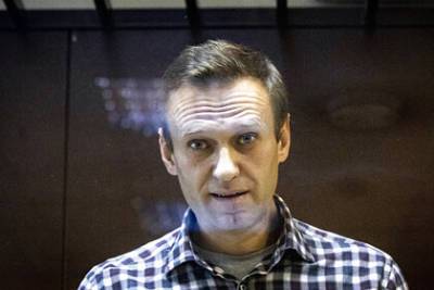 Во Франции обещали в срок дать ответы на вопросы России по делу Навального