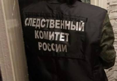 В Вологде возбудили уголовное дело после исчезновения девятилетней девочки