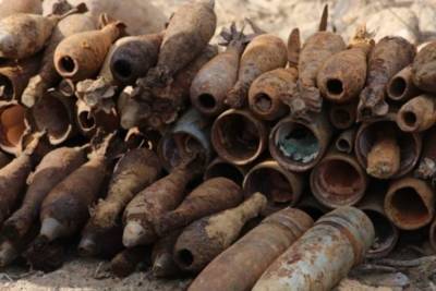 Снаряды и мины времён войны обнаружили в Псковской области
