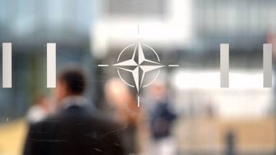 В информбюро НАТО отреагировали на заявление Лаврова о приостановке работы организации