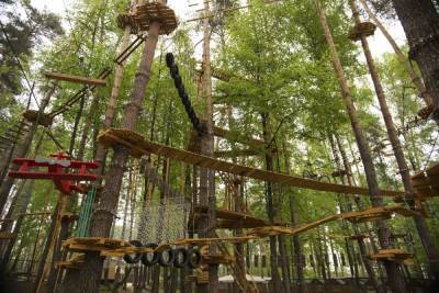 Веревочный городок построят в Автозаводском парке за 10 млн рублей