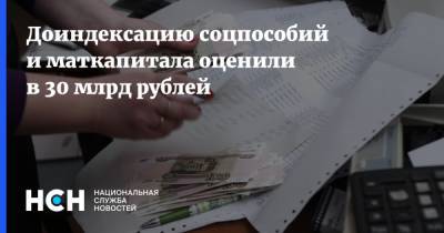 Доиндексацию соцпособий и маткапитала оценили в 30 млрд рублей