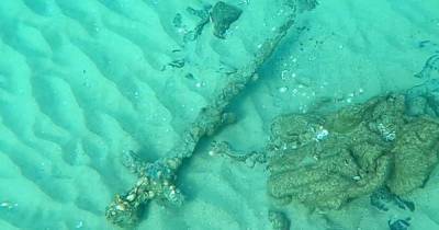 Находка на дне моря. У берегов Израиля аквалангист обнаружил 900-летний меч крестоносца (фото)