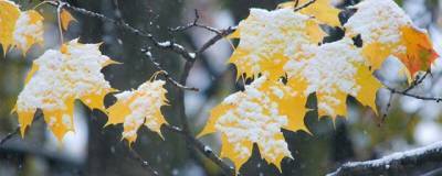 Жителей Башкирии предупредили о похолодании и дожде со снегом 21 октября