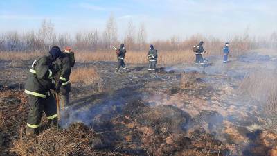 Торфяники в Свердловской области тушат круглосуточно