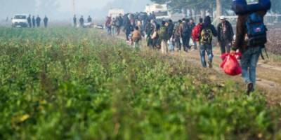 Не только Венгрия и Польша: 12 стран ЕС хотят изменить миграционную политику