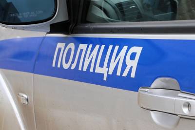 МВД проверит факт применения оружия полицеским в городском округе Раменское