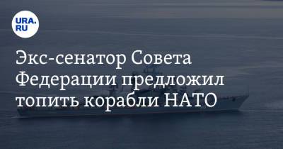 Экс-сенатор Совета Федерации предложил топить корабли НАТО