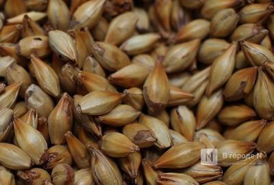Закупочные цены на зерно повысились в Нижегородской области