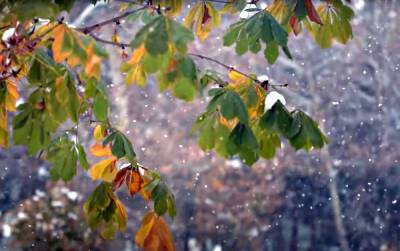 Доставайте зонтики и теплые вещи: 19 октября в Украине будет прохладно и дождливо – прогноз синоптиков
