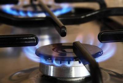 Более 80 тысяч домовладений газифицируют в Ленинградской области