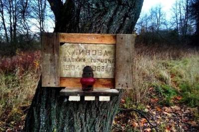 При посадке саженцев на тверском заброшенном кладбище нашли мемориальную доску