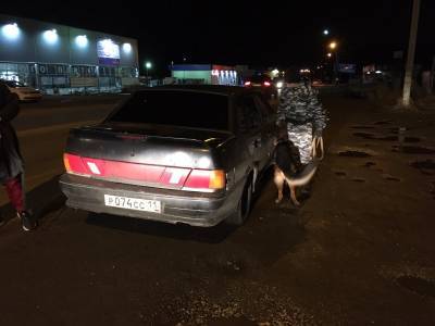 В Сыктывкаре и Ухте подвели итоги рейдов по выявлению нетрезвых водителей