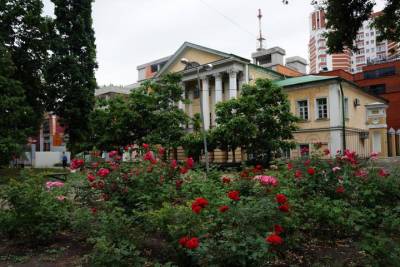 Воронежский Дом врача Мартынова на ул. Карла Маркса отреставрируют за счет федерального бюджета