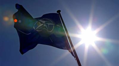 Французский эксперт заявил о предсказуемости ответа России на решение НАТО